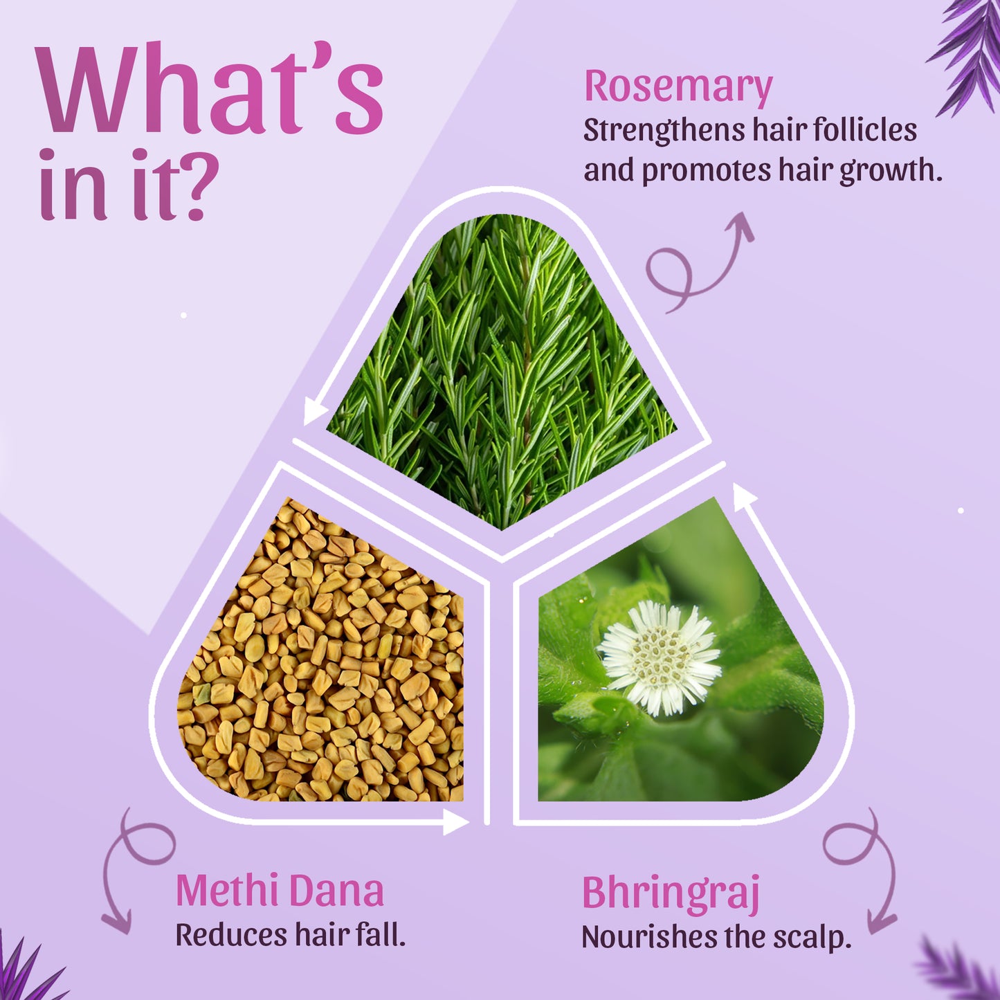 Rosemary Hair Oil, Shampoo & Hair Growth Spray